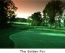 The Golden Fox