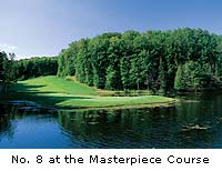 Masterpiece holes in MI