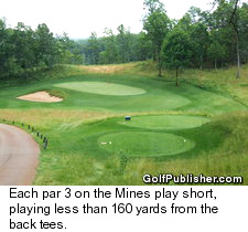 Par 3 On The Mines