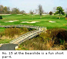 Bearslide