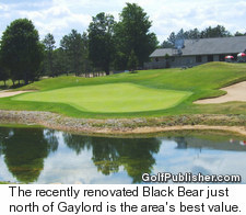  	Black Bear