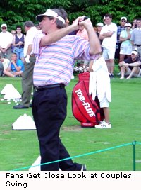 Couples' Swing