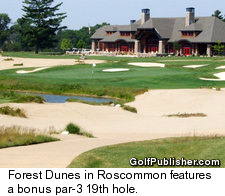 Forest Dunes