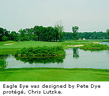 Eagle Eye