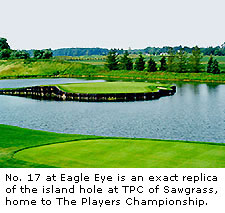 No. 17 at Eagle Eye