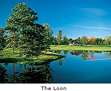 The Loon