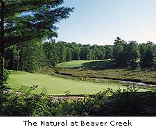 The Natural at Beaver Creek Resort
