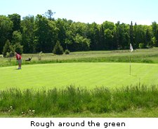 Rough around the green