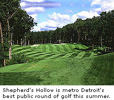 Shepherd's Hollow