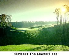 Treetops: The Masterpiece