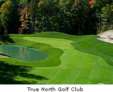 True North