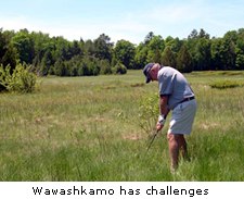 Wawashkamo has challenges