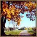 Hartefeld National
