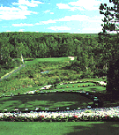 Mike Husby: Course Designer for the Playing Customer
