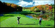 Treetops/Sylvan Resort in Michigan