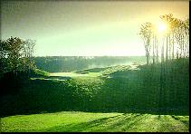 Treetops/Sylvan Resort in Michigan