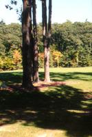 The Golf Club at Thornapple Pointe in Grand Rapids