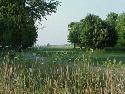 Old Channel Trail