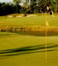The Wolverine Golf Course